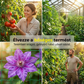 🌿🍆 Extra erős kerti futónövény-háló 👩‍🌾💕 | Raktáron 🚚📦