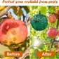 🧲🦟 Akasztható környezetbarát ecetmuslica csapda – Ragasztós légyfogó 🍎✨