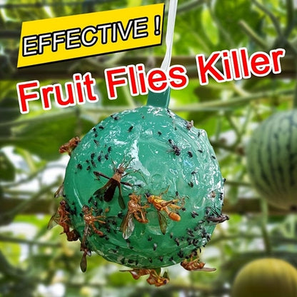 🧲🦟 Akasztható környezetbarát ecetmuslica csapda – Ragasztós légyfogó 🍎✨
