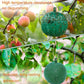 🧲🦟 Akasztható környezetbarát ecetmuslica csapda – Ragasztós légyfogó 🍎✨