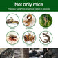 💥 Egyrétegű Szőtt Nagyerejű, Környezetbarát Rágcsálóragasztó Pad 🐭🌿
