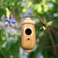 ✨ Fából készült Kolibri Ház 🏡🐦