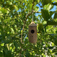✨ Fából készült Kolibri Ház 🏡🐦