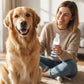 🐶😺 Vége a kellemetlen szájszagnak és a lerakódásoknak! Habzó fogkőeltávolító kutyáknak és macskáknak – Kíméletes tisztítás és friss lehelet 🐾✨