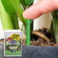 🔥🌿 Hosszantartó Növénytáp Rúd – Kiegyensúlyozott NPK a Gyökerekhez, Levelekhez és Virágokhoz! 🌱🌼