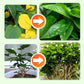 🔥🌿 Hosszantartó Növénytáp Rúd – Kiegyensúlyozott NPK a Gyökerekhez, Levelekhez és Virágokhoz! 🌱🌼