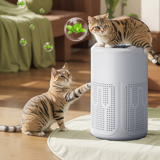 🔥🐱 Kompakt otthoni légtisztító – 🔇 Csendes és energiatakarékos | Allergia és állatszőr ellen 🌬️🍃
