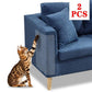 🐱🐾 Macskakarmolás elleni kanapévédő (10 spirálszöget) 🛡️🛋️