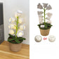 🌸💡 Kézzel Kötött Gyöngyvirág Éjjeli Fény Cserépben 🎁 | Raktáron 🚚📦