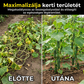 🌿🍆 Extra erős kerti futónövény-háló 👩‍🌾💕 | Raktáron 🚚📦