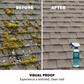 🧼🌿 Többcélú mohaeltávolító – Hatásos aszfalton, csempén és fémen 🏠✨