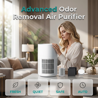 🏠🌸 Szagtalanító kis légtisztító 💖