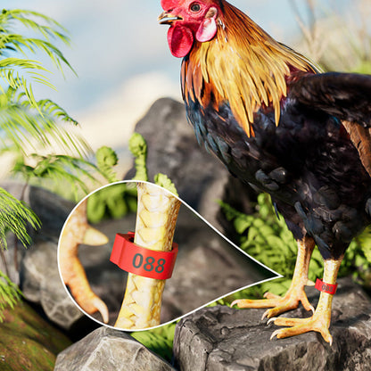🐓🔢 Állítható, pattinthatós baromfi lábgűrű ✨
