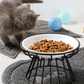 Elevated Ceramic Cat Bowl with Iron Stand