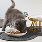 Elevated Ceramic Cat Bowl with Iron Stand