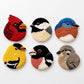 Complete DIY Bird Coaster Kit