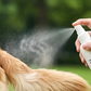 Pet Detangling & Shine Leave-in Conditioner Spray