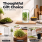 Glass Sprouting Jar Kit with Blackout Sleeve